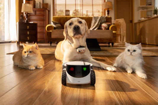 Enhancing Your Pet’s Happiness: The Critical Role of Companion Robots at Home