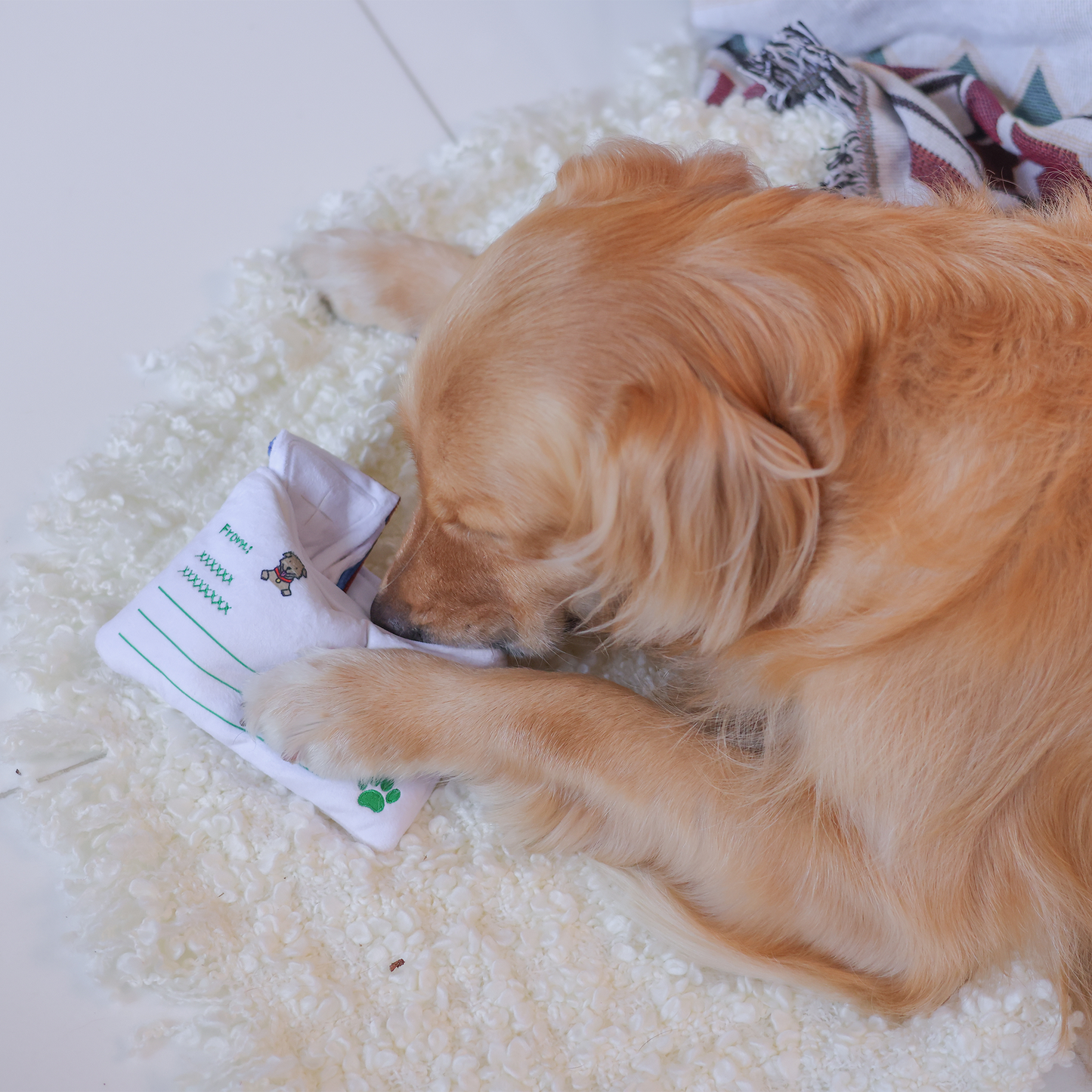 Woof² - Hong Kong Airmail Nose-work Pet Toy