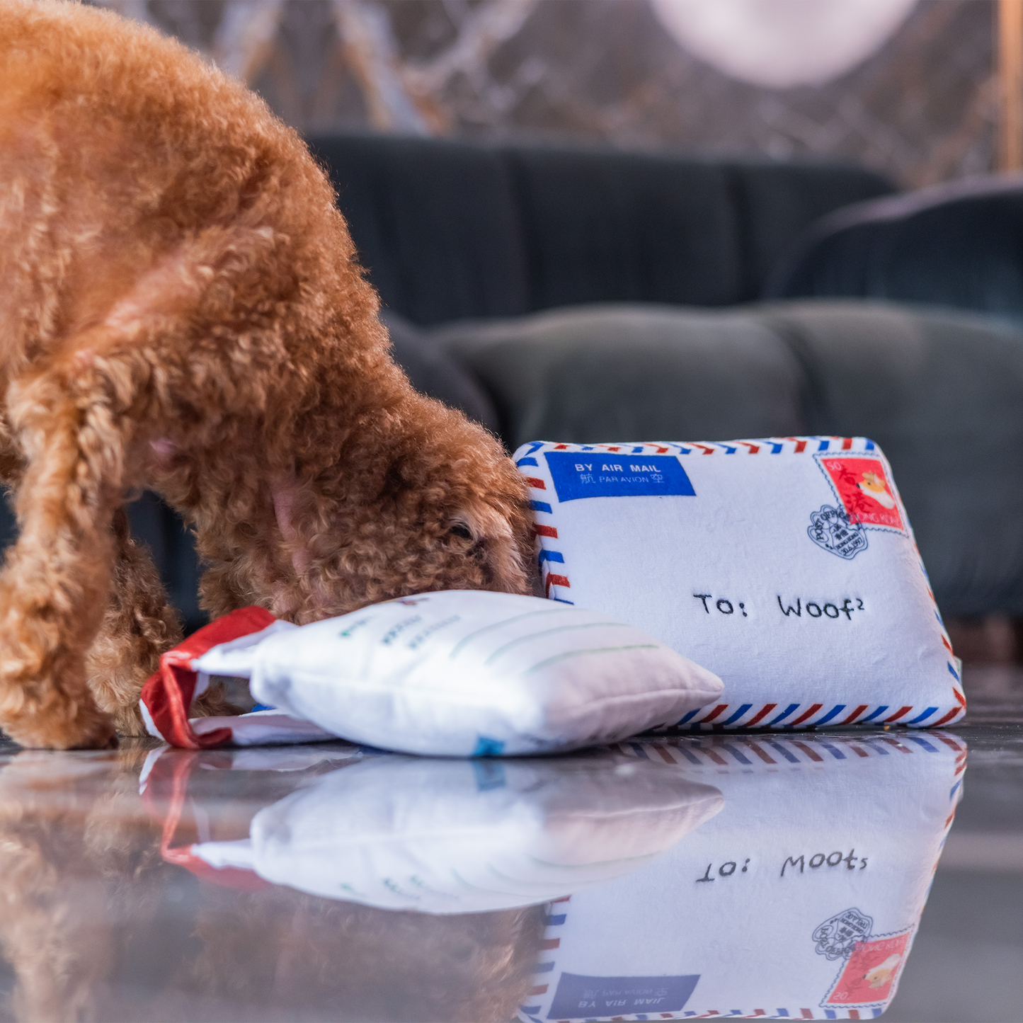 Woof² - Hong Kong Airmail Nose-work Pet Toy